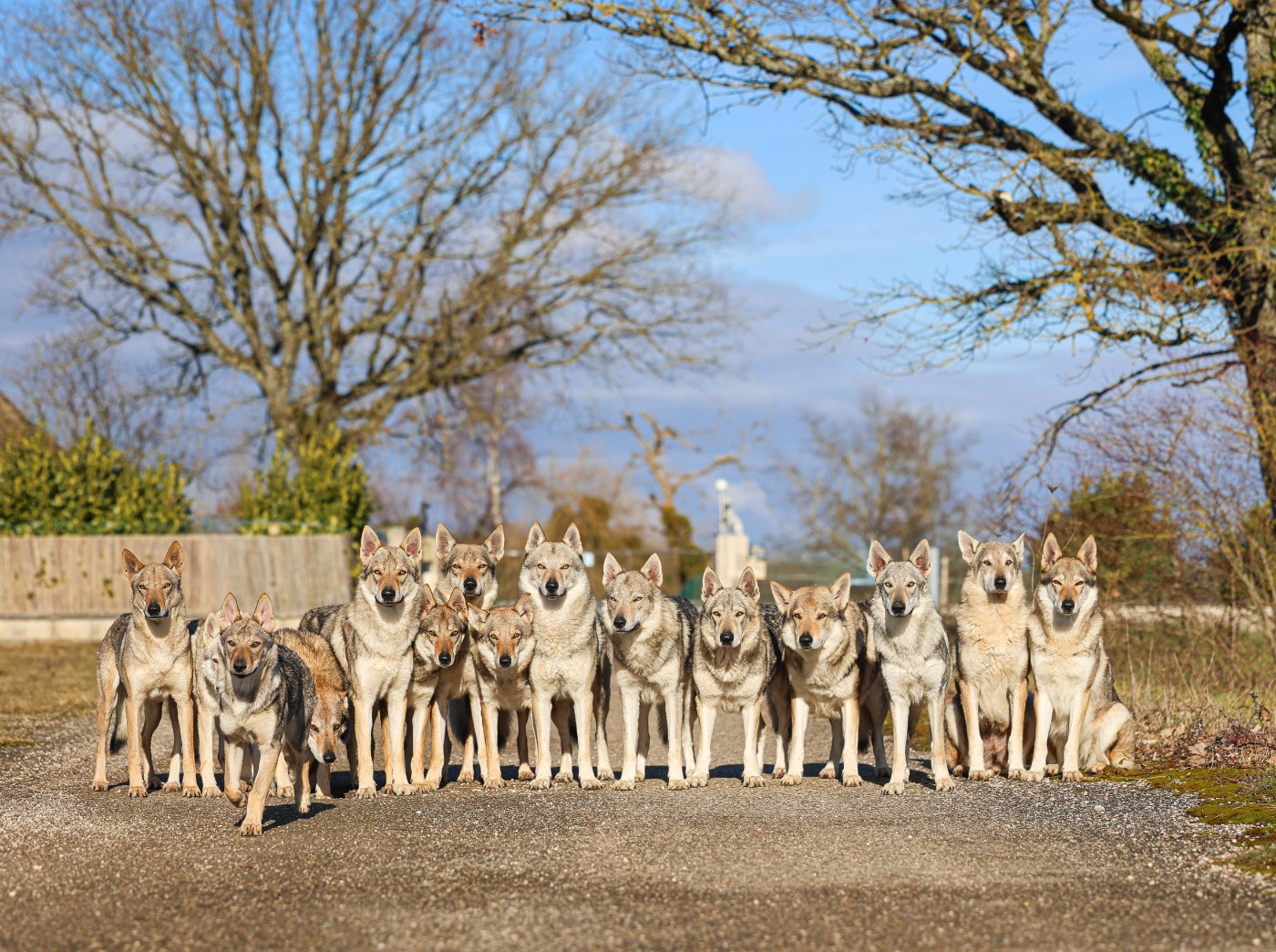 ** Prochaine naissance **